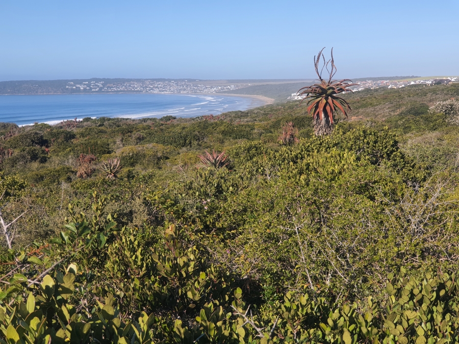 0 Bedroom Property for Sale in Boggomsbaai Western Cape